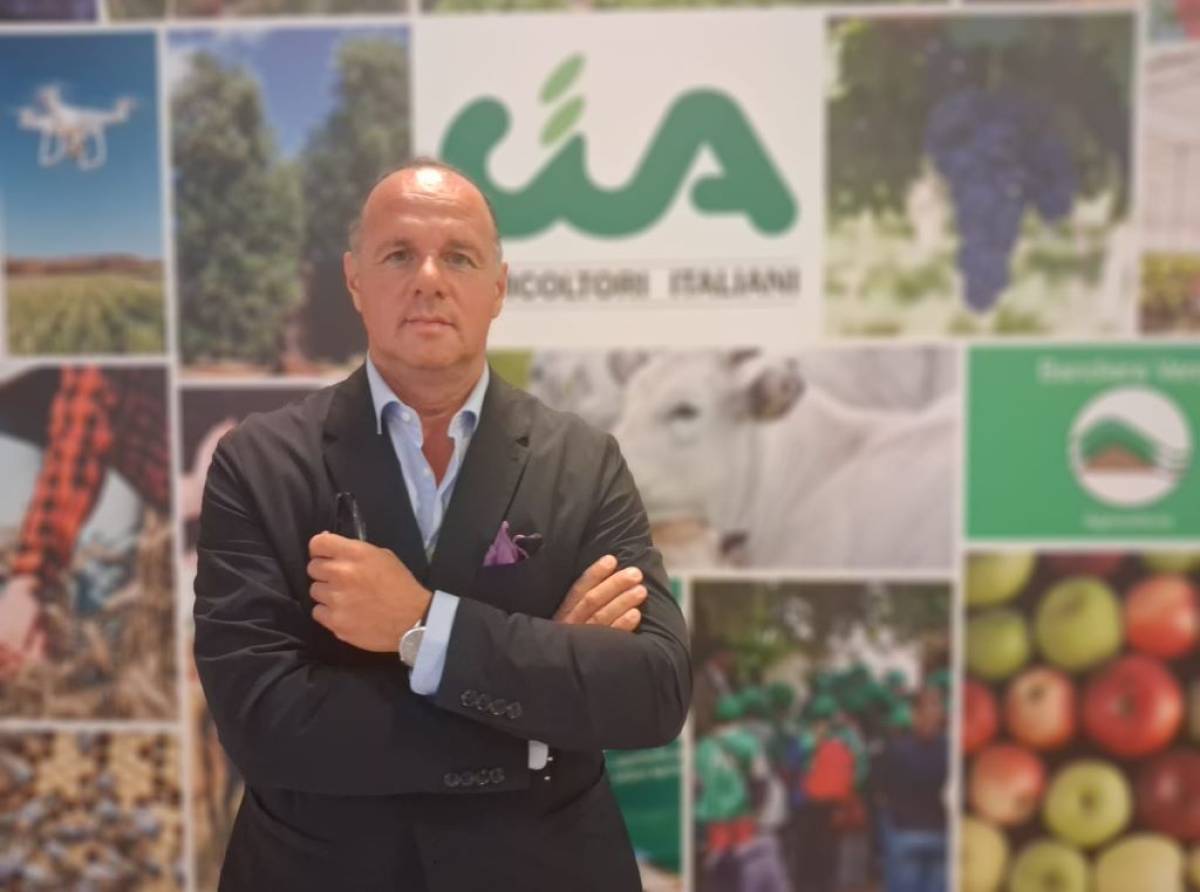 Crisi agricoltura Piemonte: costi alle stelle e prezzi in calo, Cia lancia l’allarme. «Serve un tavolo urgente»